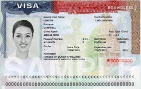 rafeekee.com American visa